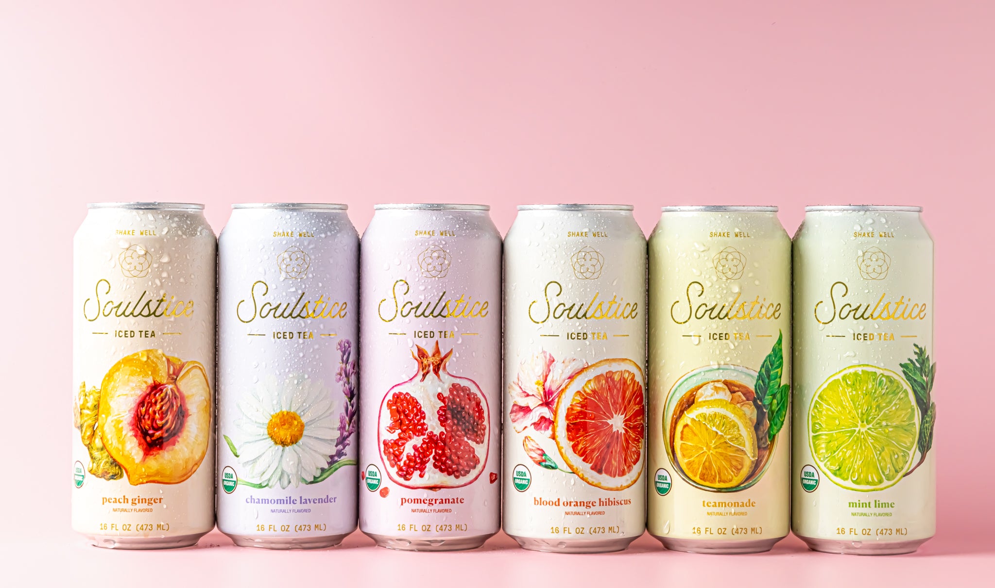 Try Them All 12 Pack Case